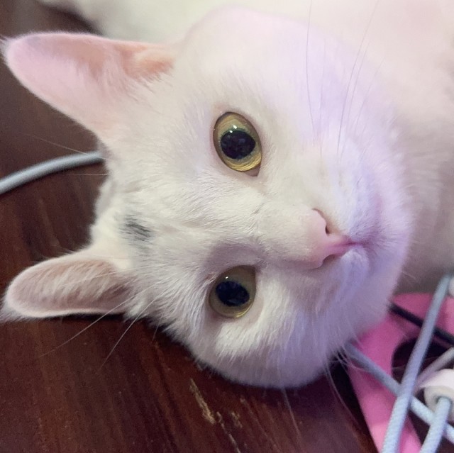 头像
